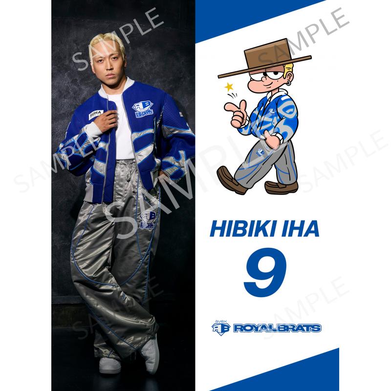 aRB HIBIKI IHA A